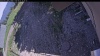 Web Cam Image - Mon, 06/01/2026 4:04pm PDT