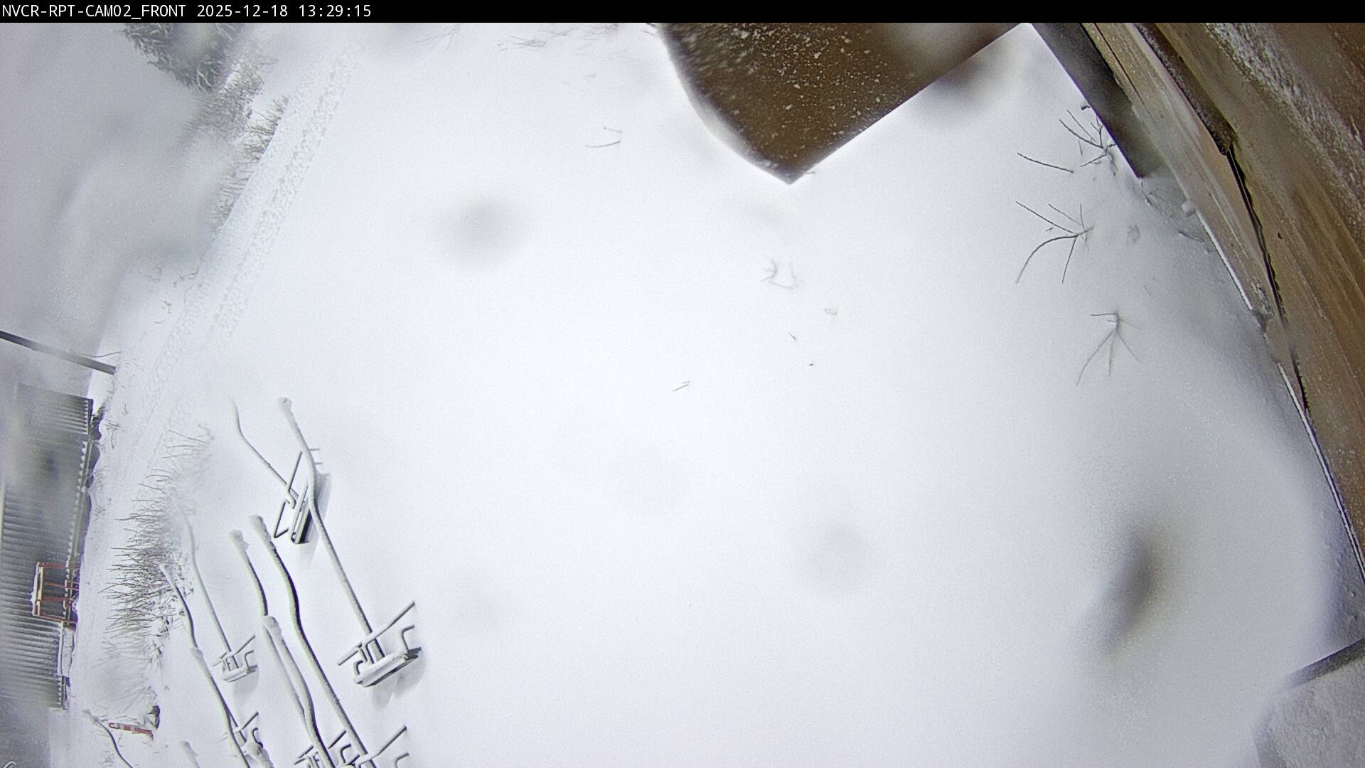 Web Cam History Image - 214