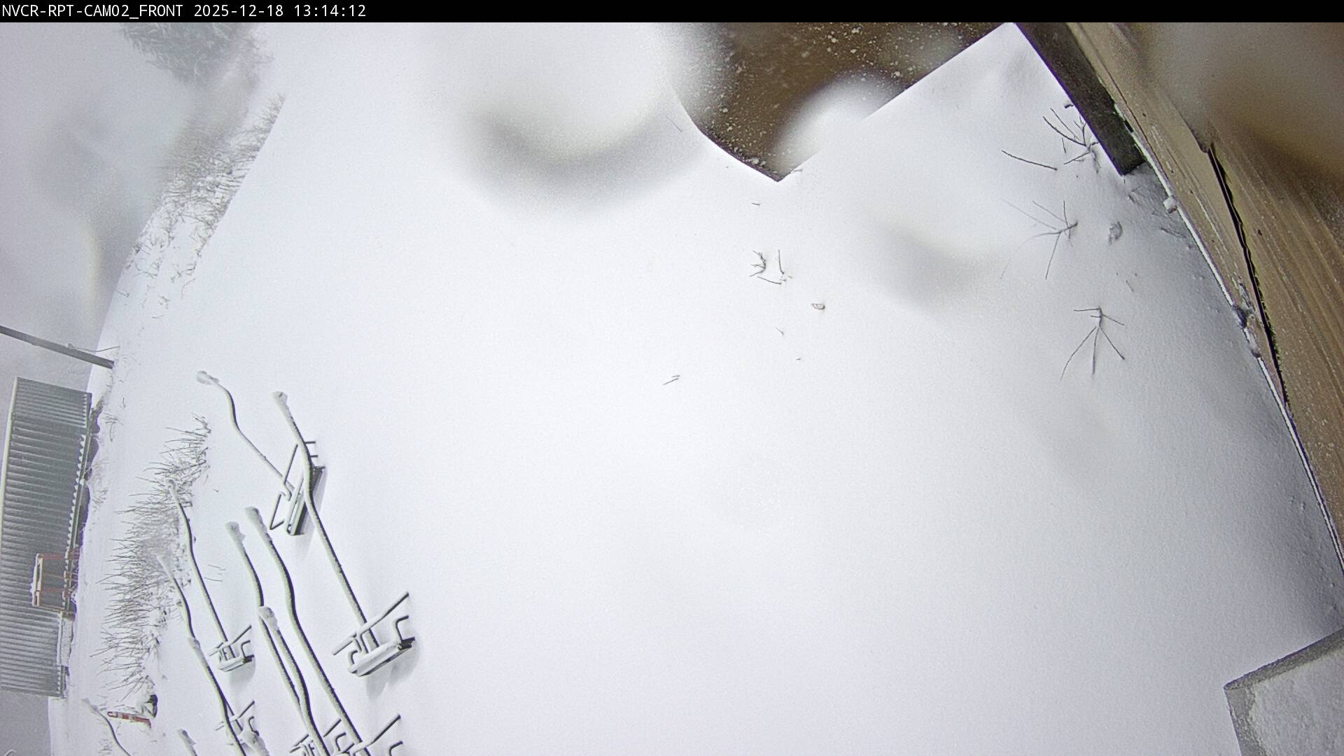 Web Cam History Image - 216