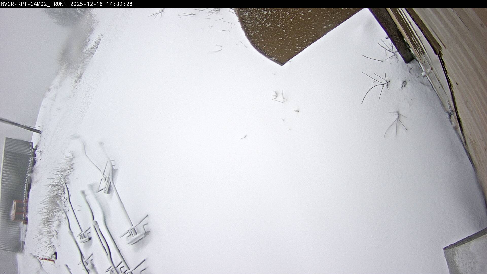 Web Cam History Image - 220