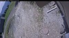 Web Cam Image - Thu, 05/21/2026 11:29am PDT