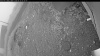 Web Cam Image - Sat, 06/27/2026 3:19am PDT