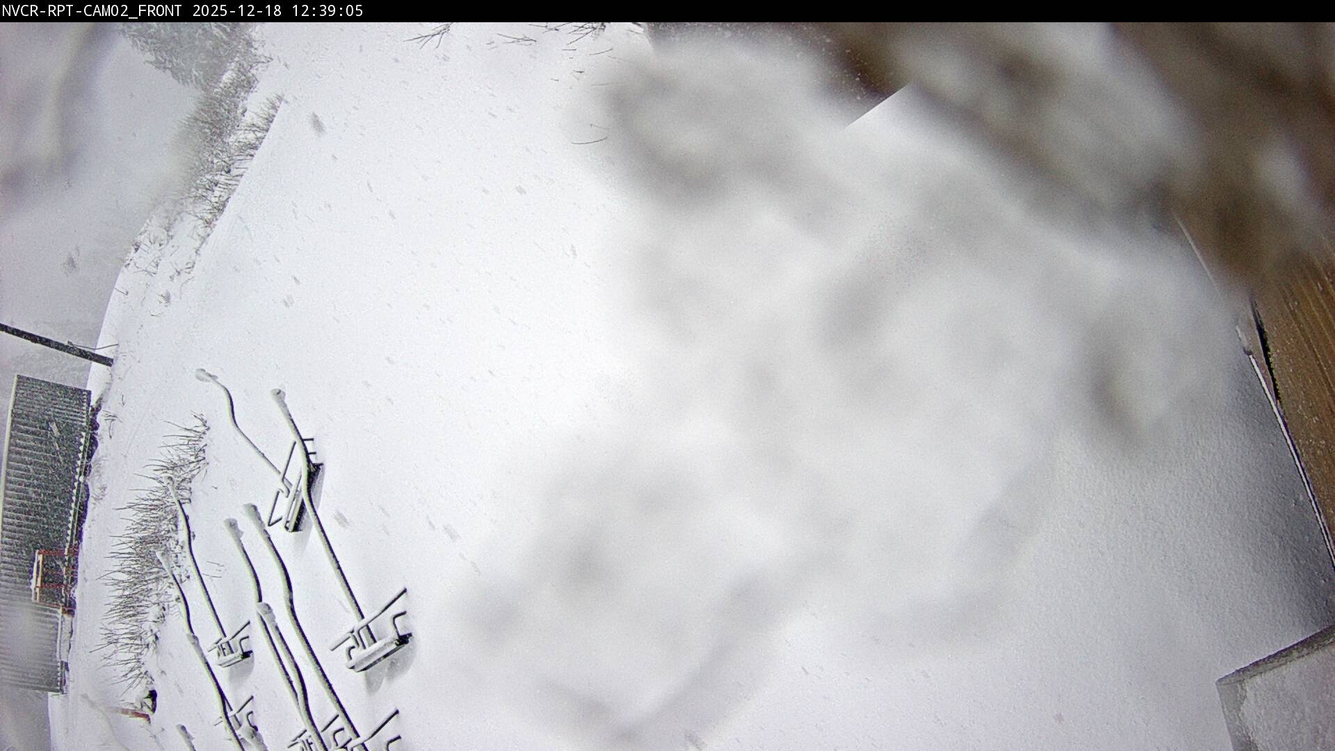 Web Cam History Image - 223