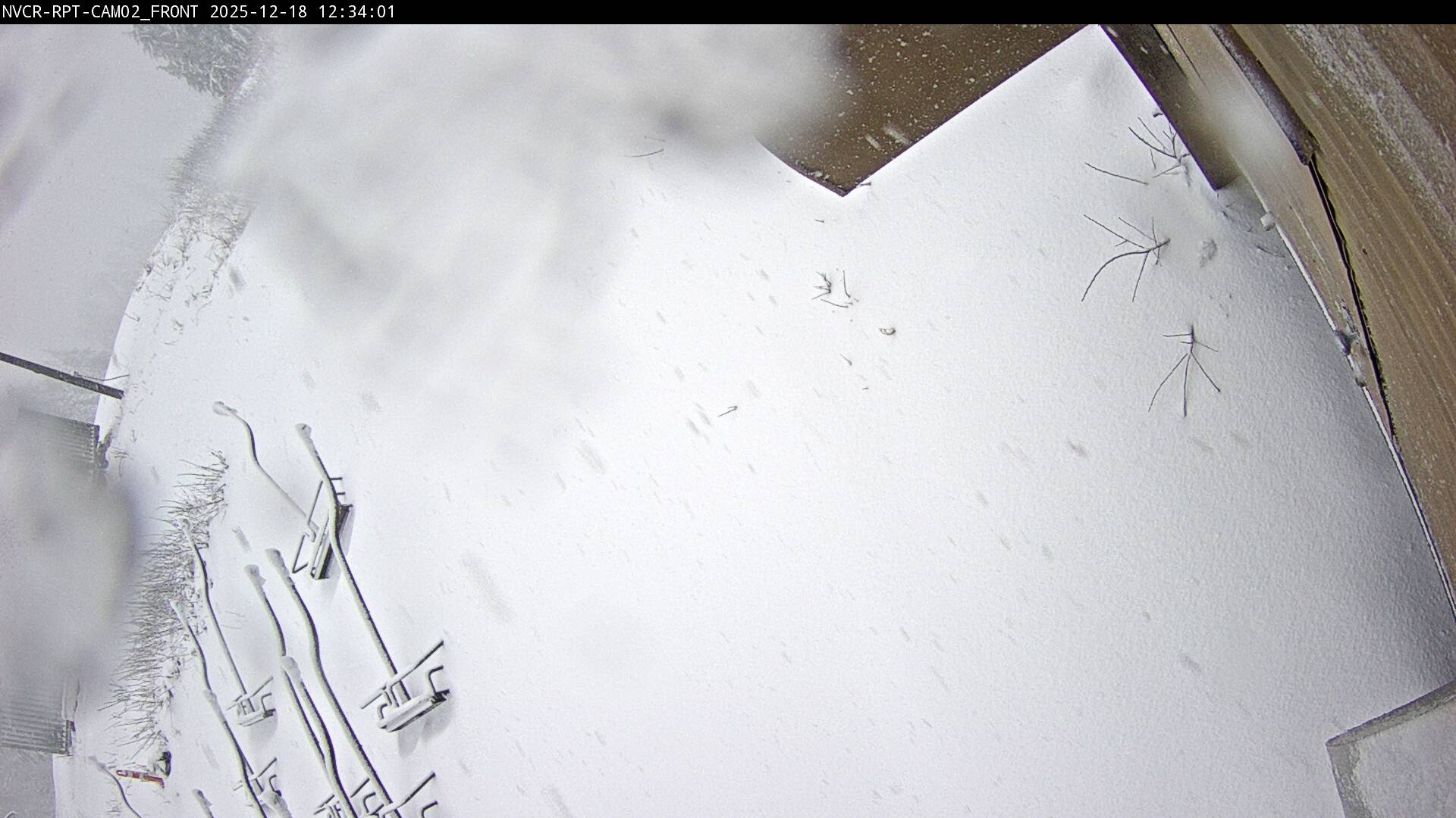 Web Cam History Image - 224