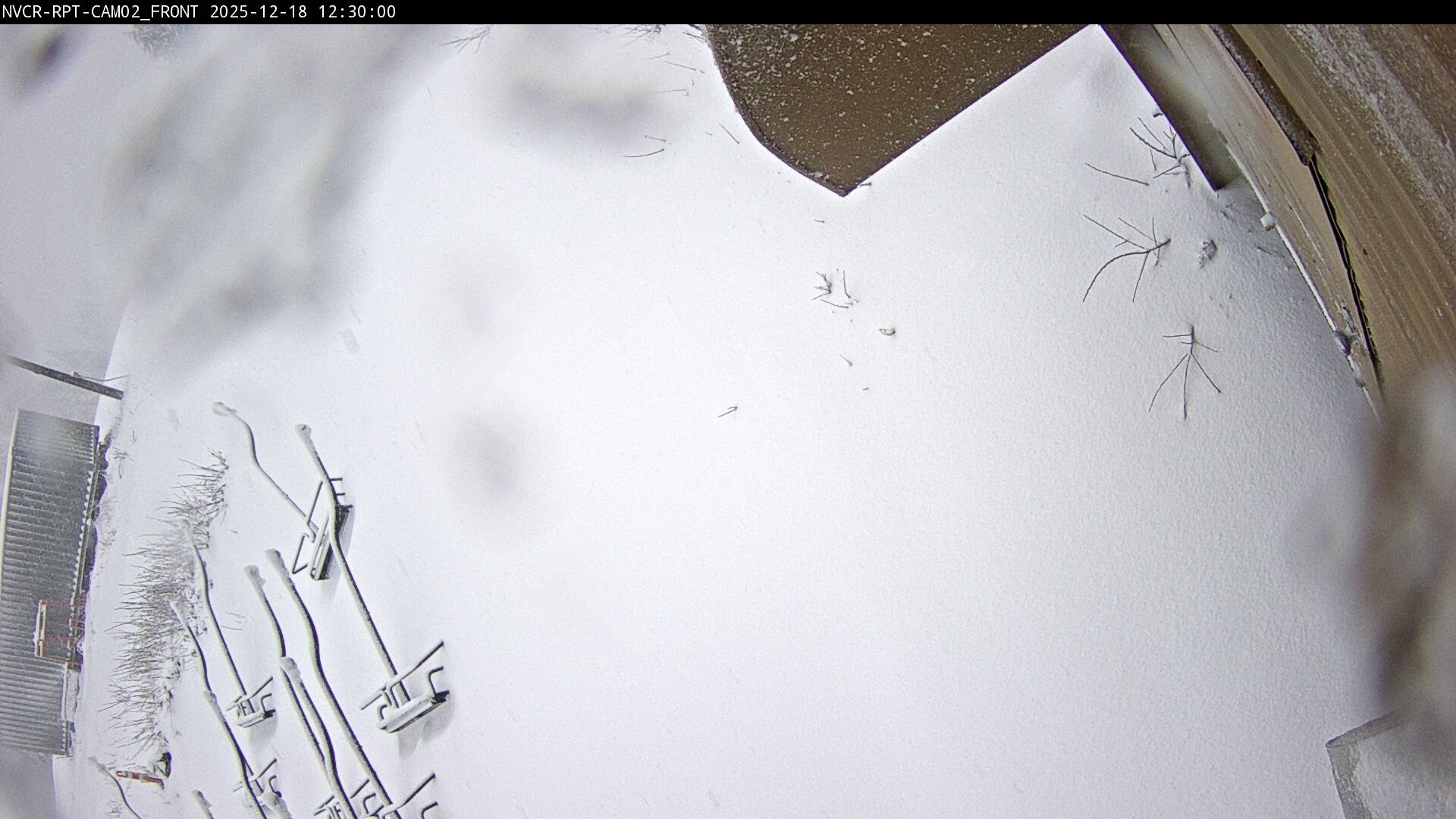 Web Cam History Image - 226