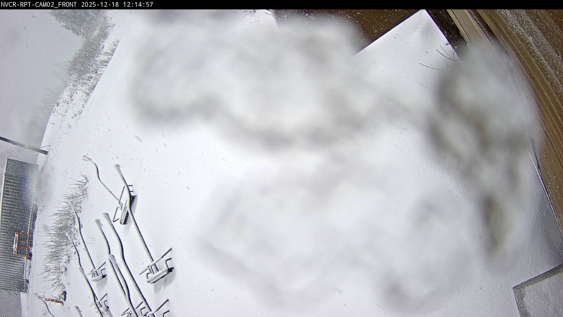 Web Cam History Image - 230