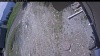 Web Cam Image - Thu, 05/21/2026 11:24am PDT