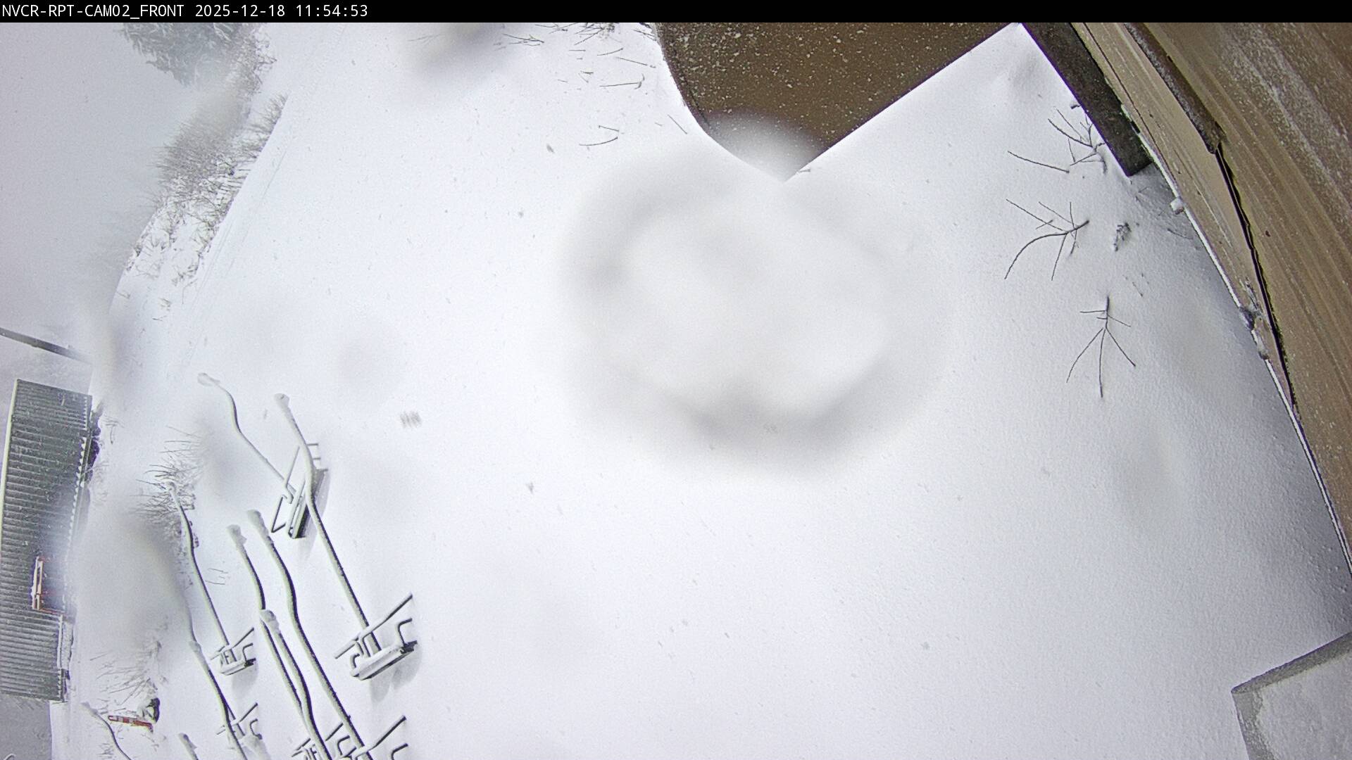 Web Cam History Image - 232