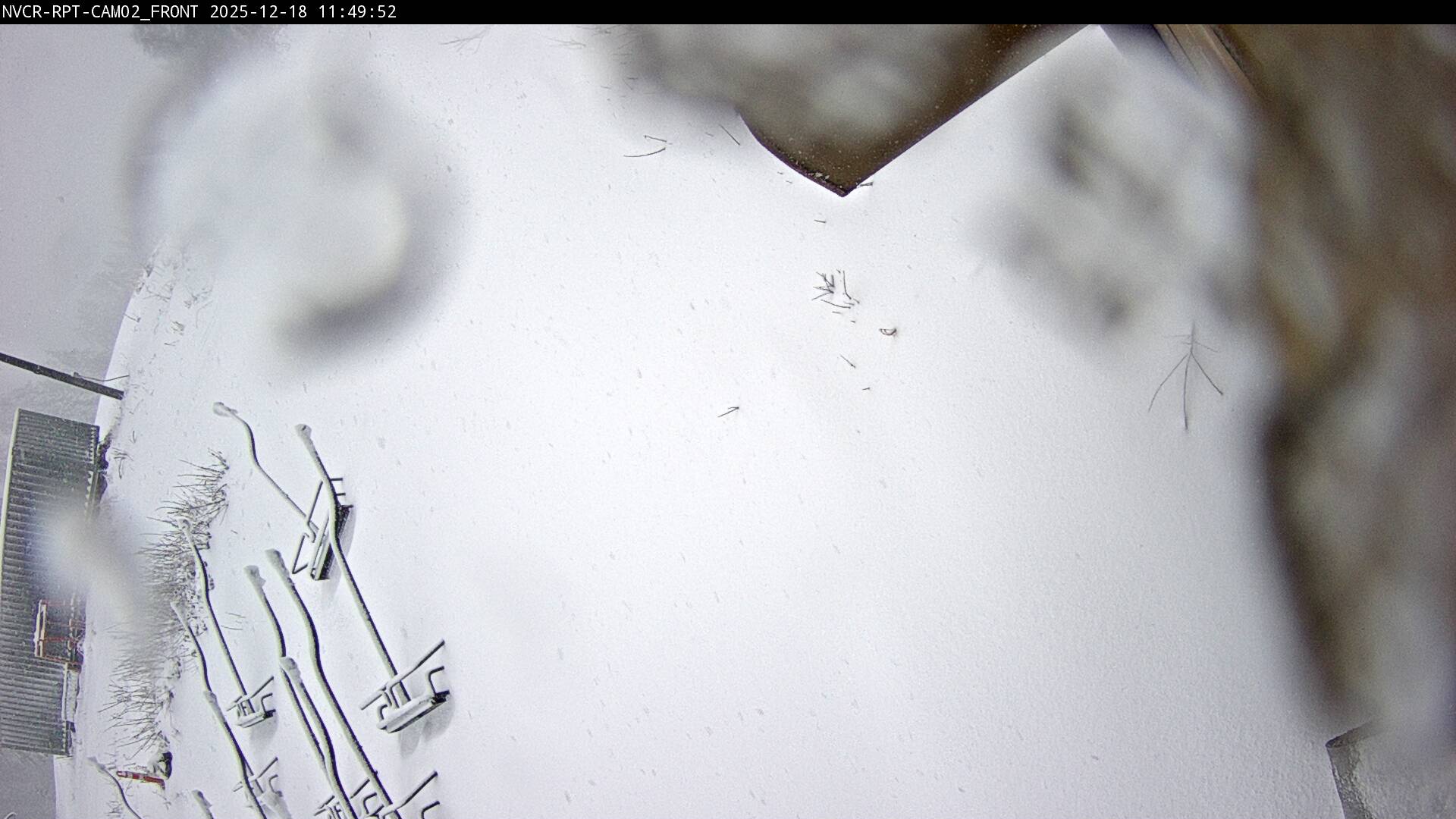 Web Cam History Image - 233