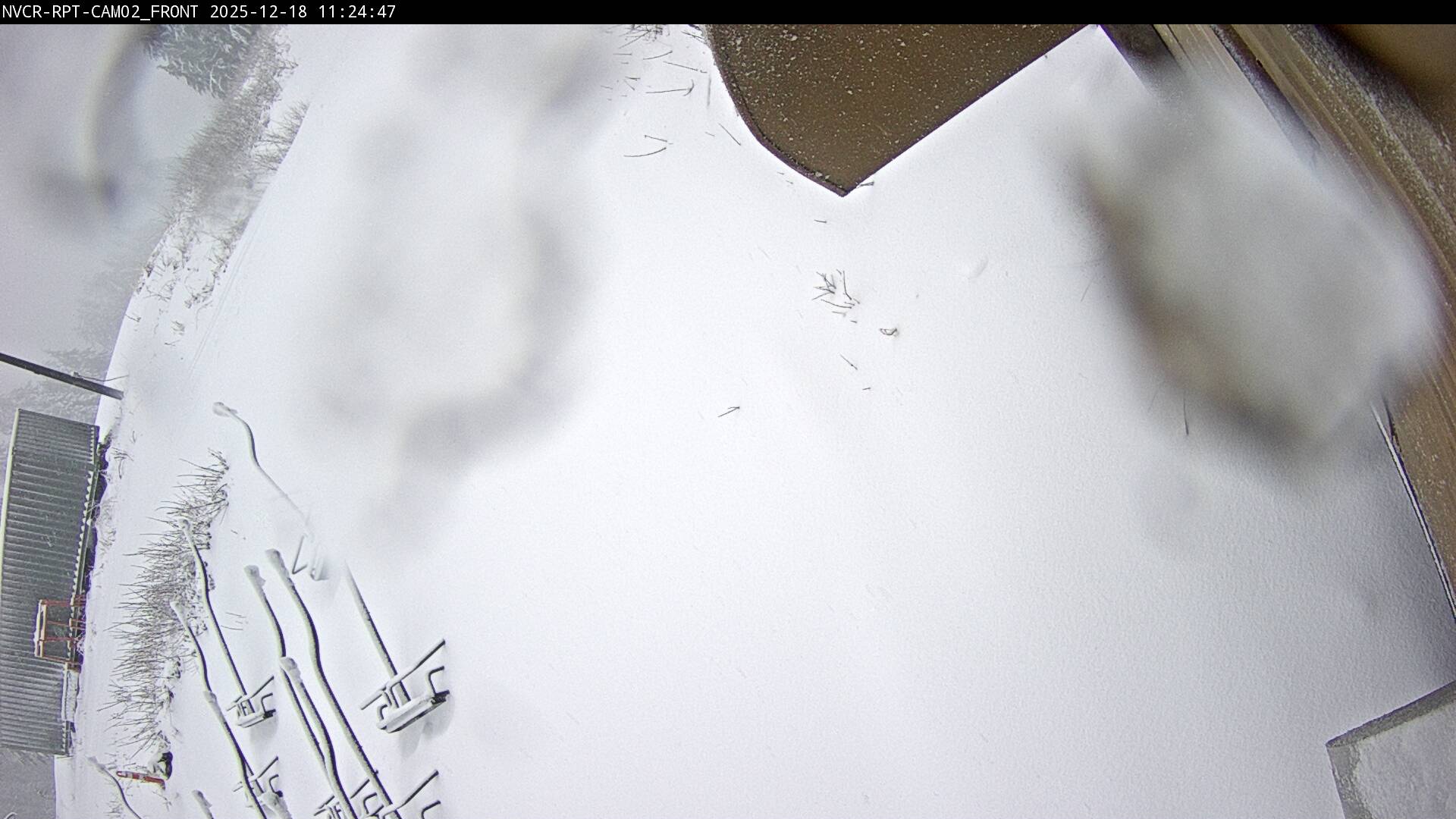 Web Cam History Image - 239