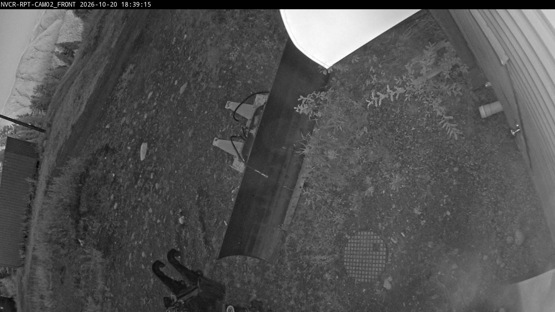 Web Cam History Image - 239