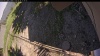 Web Cam Image - Mon, 06/30/2025 12:54pm PDT