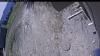 Web Cam Image - Tue, 05/12/2026 10:34am PDT