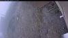 Web Cam Image - Wed, 05/13/2026 9:44am PDT