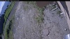 Web Cam Image - Tue, 06/16/2026 8:04am PDT