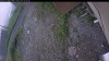 Web Cam Image - Sat, 07/04/2026 4:39am PDT