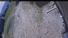 Web Cam Image - Thu, 05/21/2026 11:19am PDT