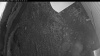 Web Cam Image - Fri, 06/12/2026 2:44am PDT