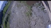 Web Cam Image - Tue, 06/16/2026 7:54am PDT