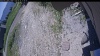 Web Cam Image - Fri, 06/19/2026 11:14am PDT