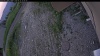 Web Cam Image - Tue, 06/23/2026 6:14pm PDT