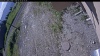 Web Cam Image - Tue, 06/16/2026 7:49am PDT