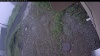 Web Cam Image - Fri, 07/03/2026 5:29am PDT