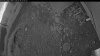 Web Cam Image - Sat, 07/04/2026 4:19am PDT