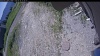 Web Cam Image - Thu, 06/18/2026 10:24am PDT
