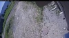 Web Cam Image - Thu, 06/18/2026 10:19am PDT