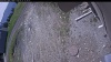 Web Cam Image - Thu, 05/21/2026 10:44am PDT