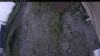 Web Cam Image - Wed, 07/08/2026 7:04am PDT