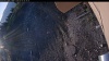 Web Cam Image - Tue, 05/05/2026 5:24am PDT
