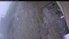 Web Cam Image - Wed, 05/13/2026 8:59am PDT