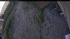 Web Cam Image - Tue, 06/23/2026 5:39pm PDT