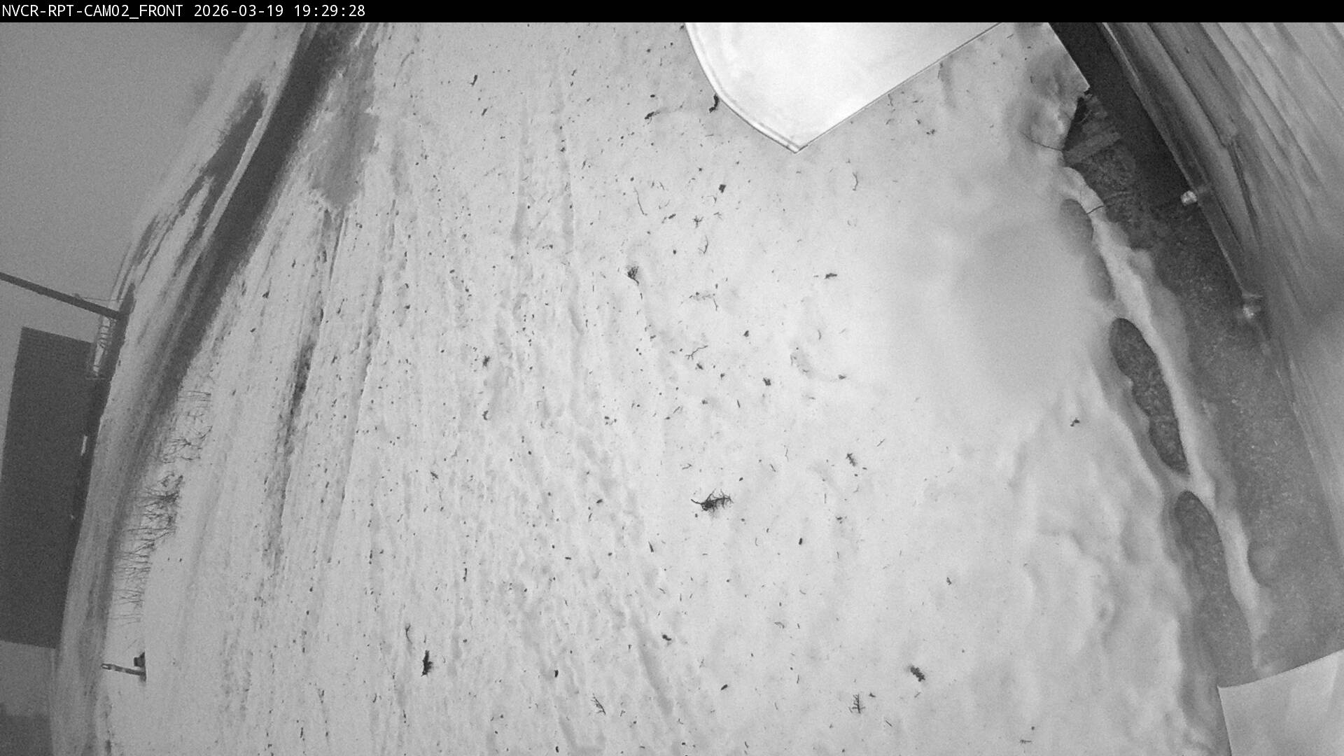 Web Cam History Image - 250