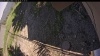 Web Cam Image - Mon, 06/30/2025 12:49pm PDT