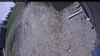 Web Cam Image - Sat, 05/23/2026 10:39am PDT