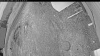 Web Cam Image - Tue, 05/12/2026 7:44pm PDT