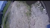 Web Cam Image - Fri, 06/19/2026 10:24am PDT