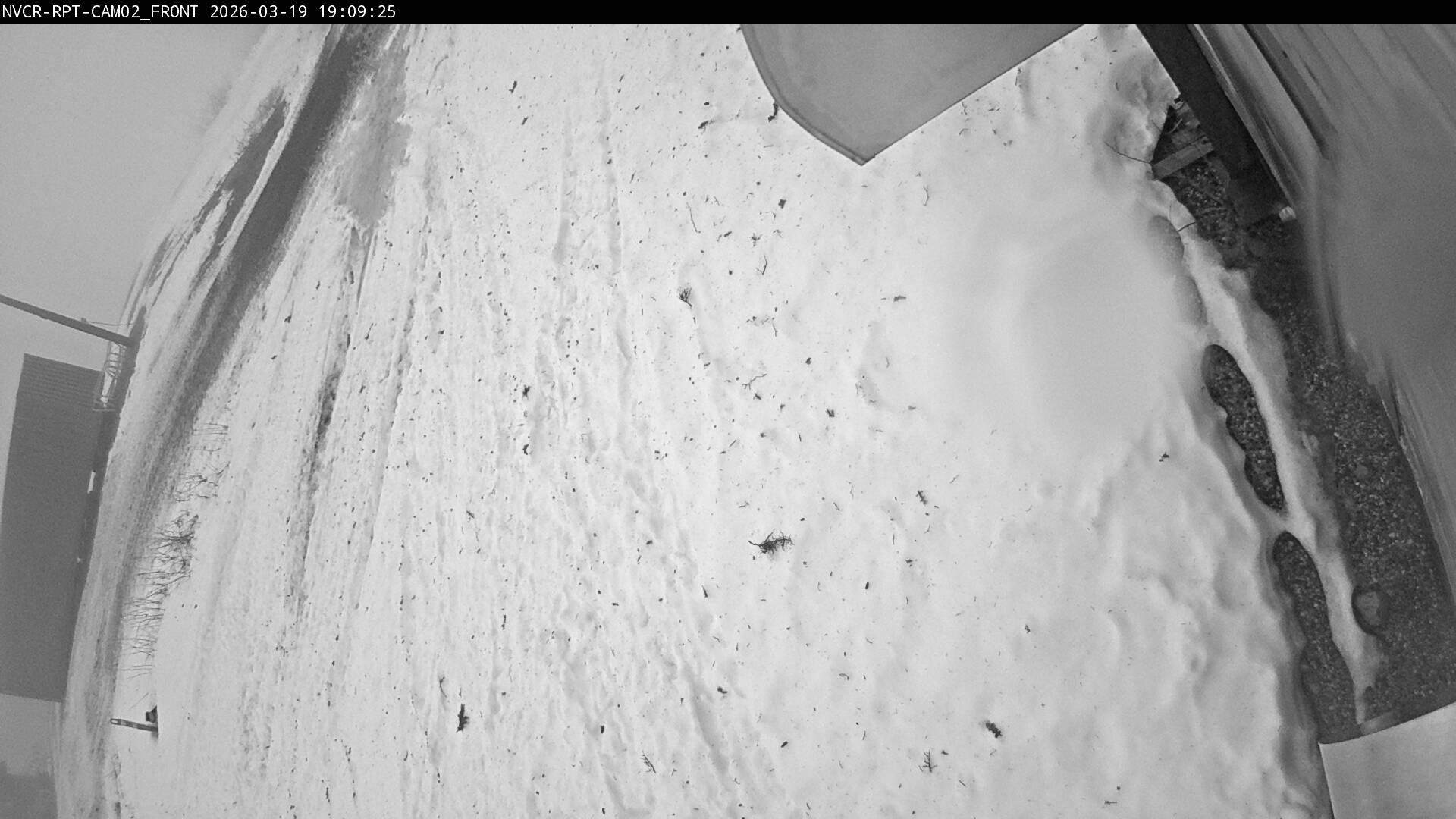 Web Cam History Image - 253