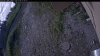 Web Cam Image - Wed, 07/08/2026 6:39am PDT