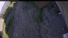 Web Cam Image - Wed, 06/24/2026 4:59pm PDT