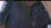 Web Cam Image - Mon, 07/06/2026 4:59am PDT