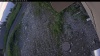 Web Cam Image - Tue, 07/07/2026 4:39am PDT