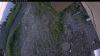 Web Cam Image - Tue, 07/07/2026 4:34am PDT