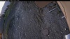 Web Cam Image - Tue, 05/05/2026 4:49am PDT