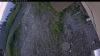 Web Cam Image - Tue, 07/07/2026 4:29am PDT