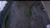 Web Cam Image - Wed, 07/08/2026 6:24am PDT