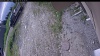Web Cam Image - Wed, 06/17/2026 9:39am PDT